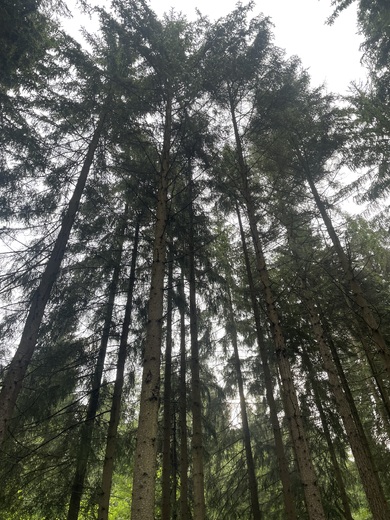 Úzkost, stres a vyčerpání: Kdy pomůže terapie a jak začít