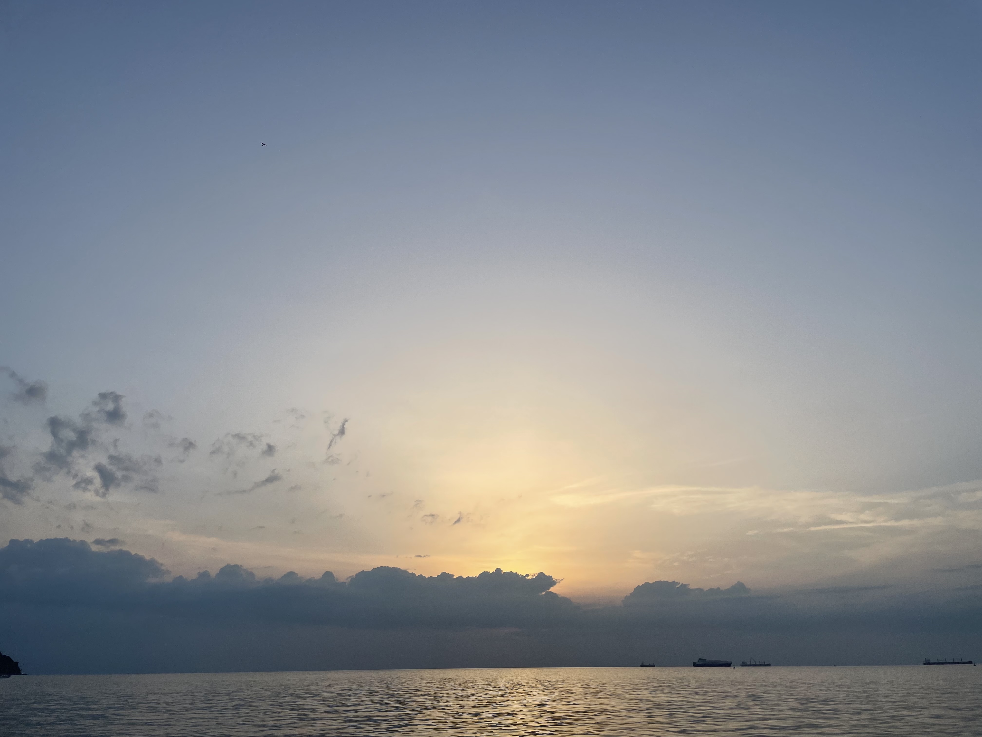 IMG_4752.jpeg